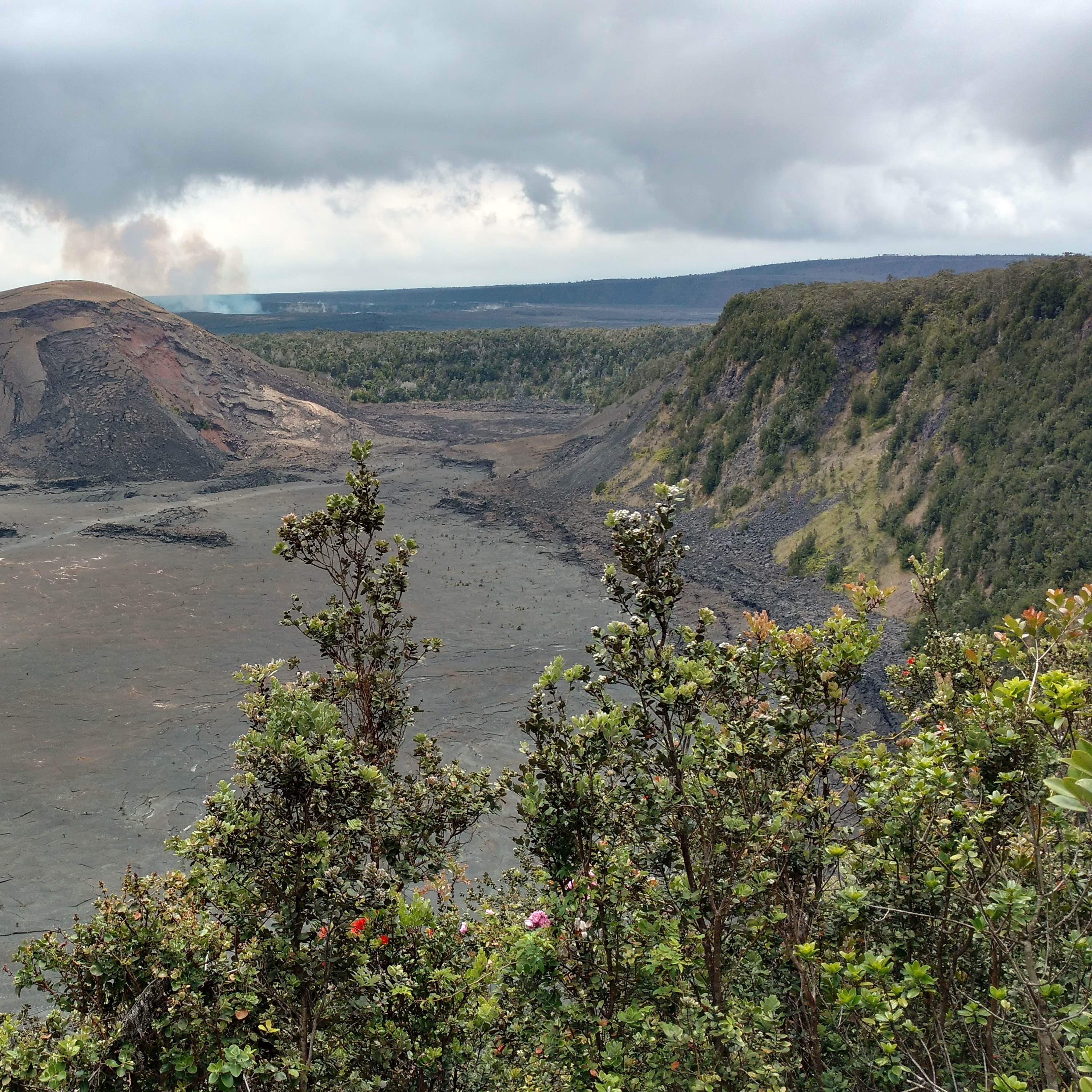 Nāmakanipaio Campground — Hawai'i Volcanoes National Park