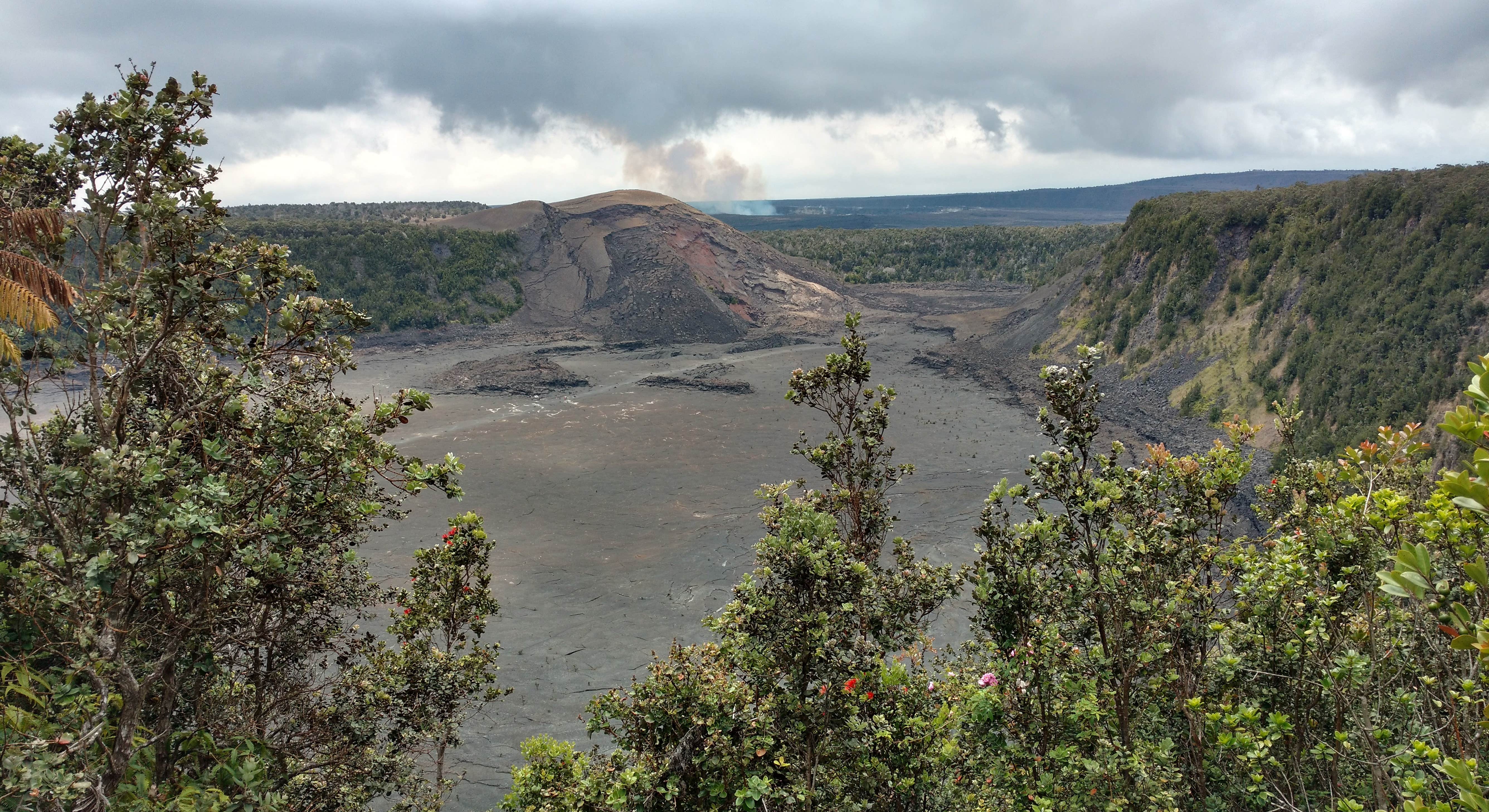 Scenic View Near Namakanipaio Campground in Hawaii Volcanoes National