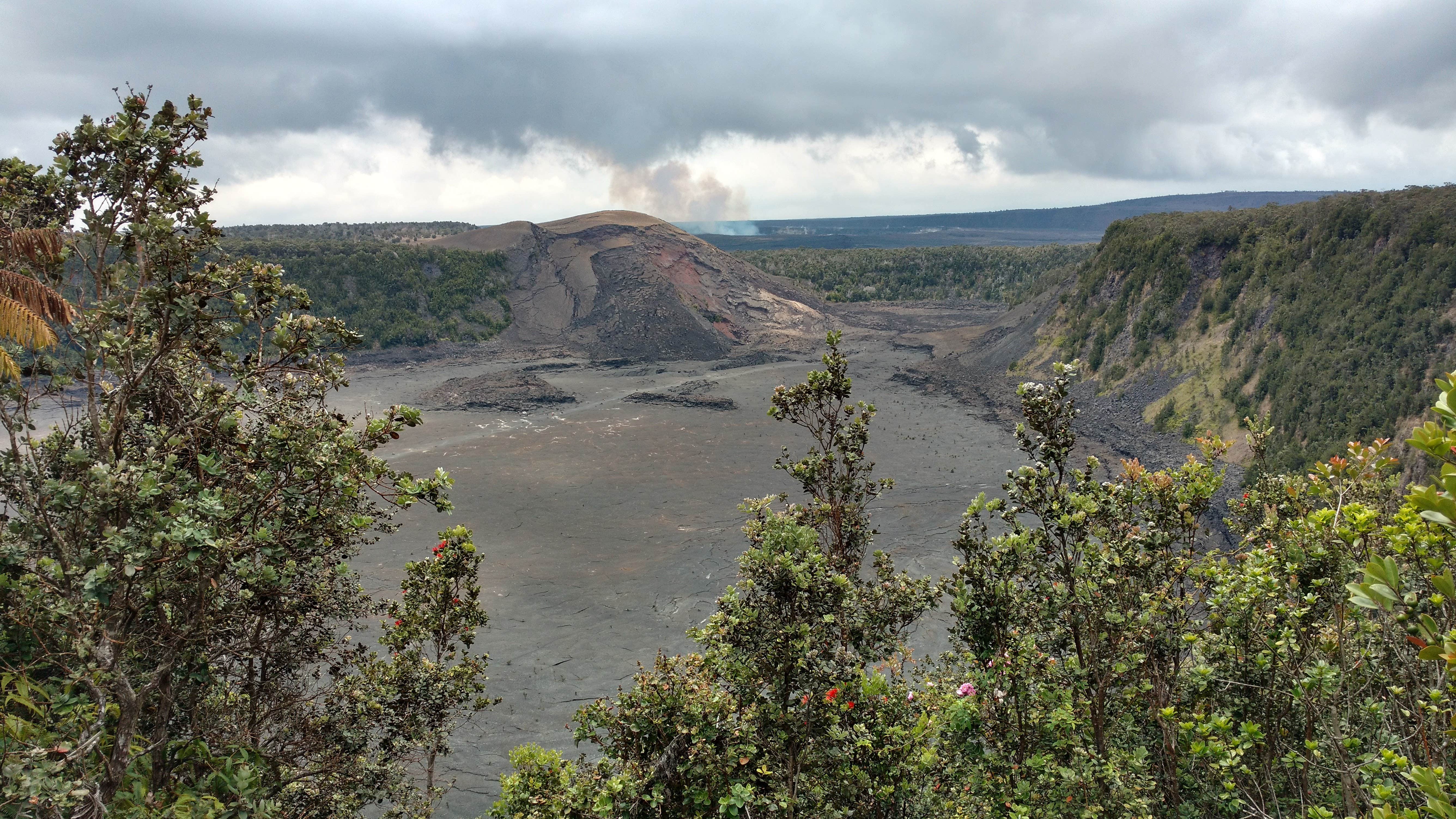 Camper submitted image from Nāmakanipaio Campground — Hawai'i Volcanoes National Park - 1