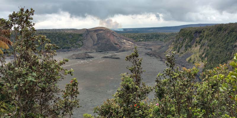 Camper submitted image from Nāmakanipaio Campground — Hawai'i Volcanoes National Park
