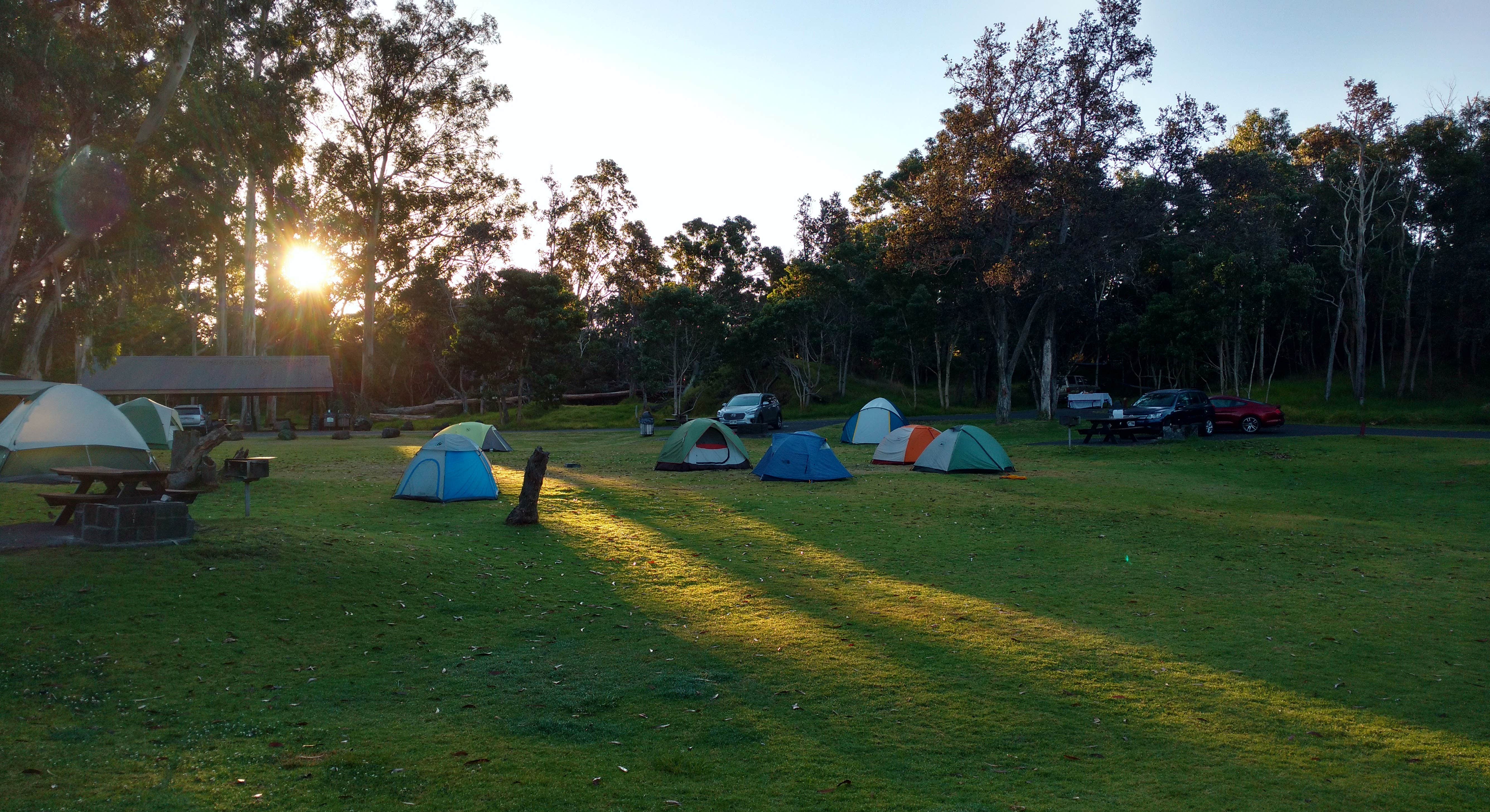 Tent Campers Spread out at Namakanipaio Campground in Hawaii Volcanoes National Park