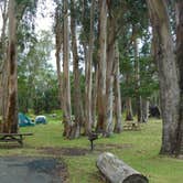Review photo of Nāmakanipaio Campground — Hawai'i Volcanoes National Park by Dave G., June 5, 2017
