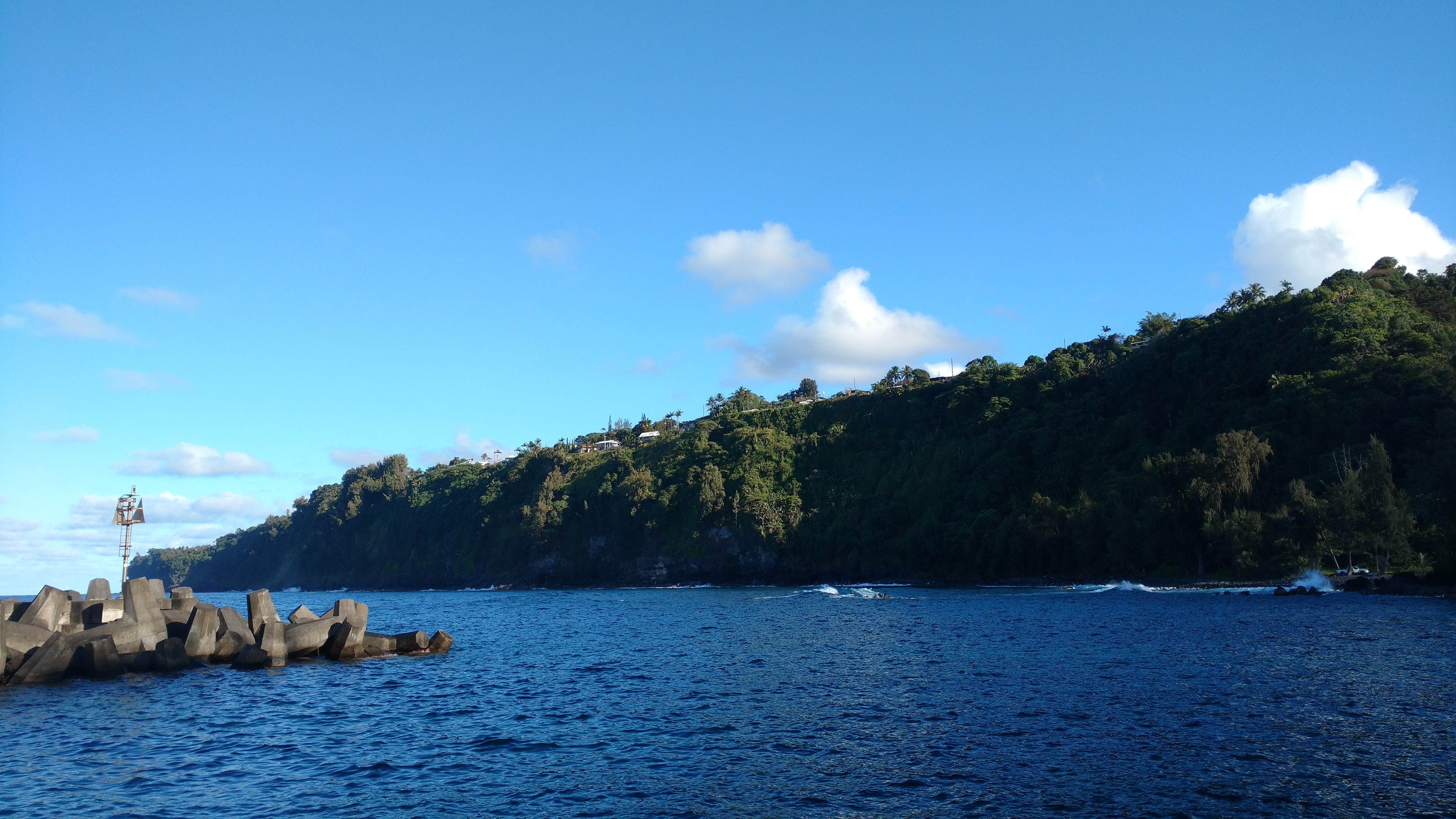 Camper submitted image from Laupahoehoe Point Beach Park - 3