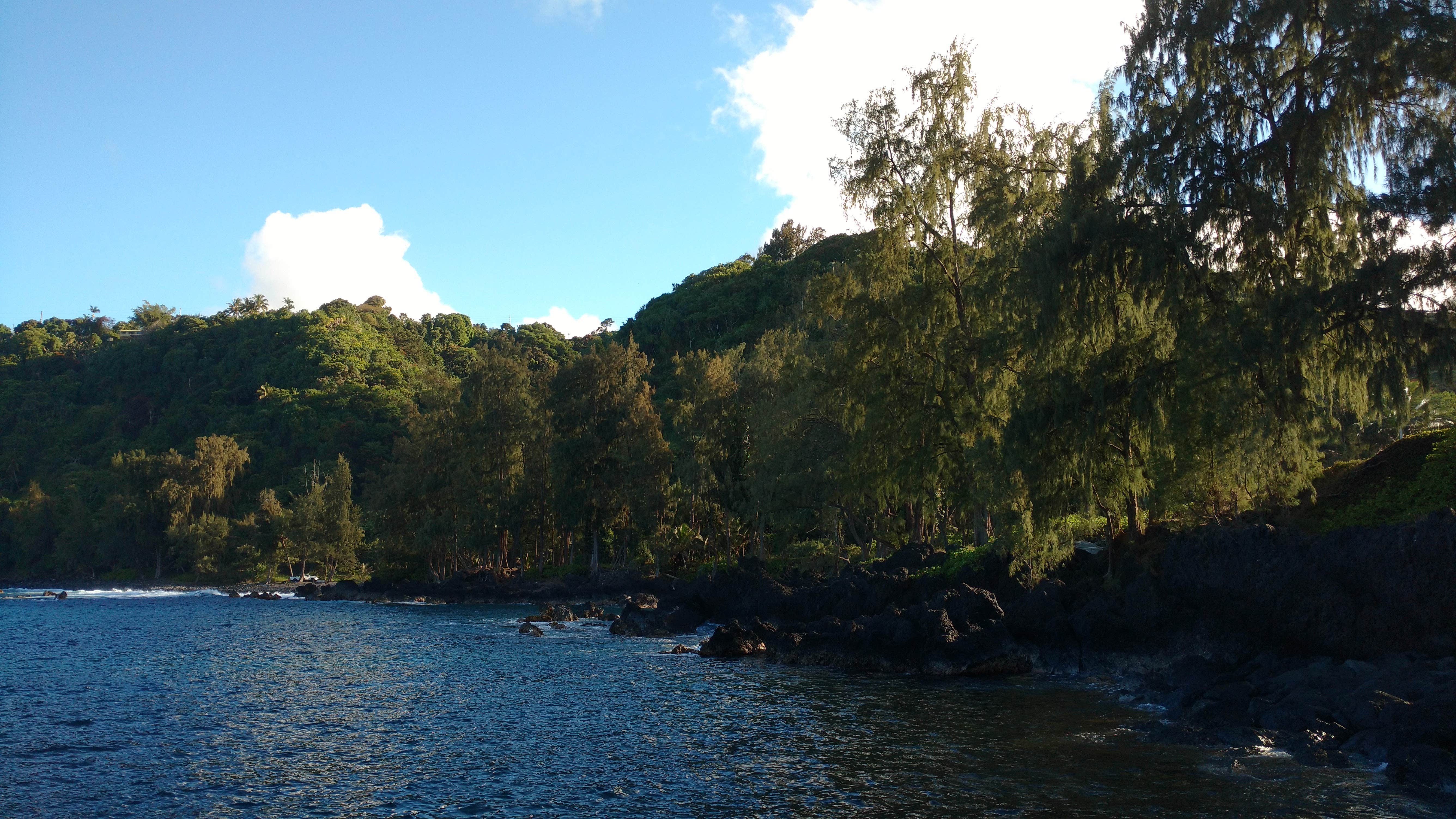 Laupahoehoe Point Beach Park The Dyrt