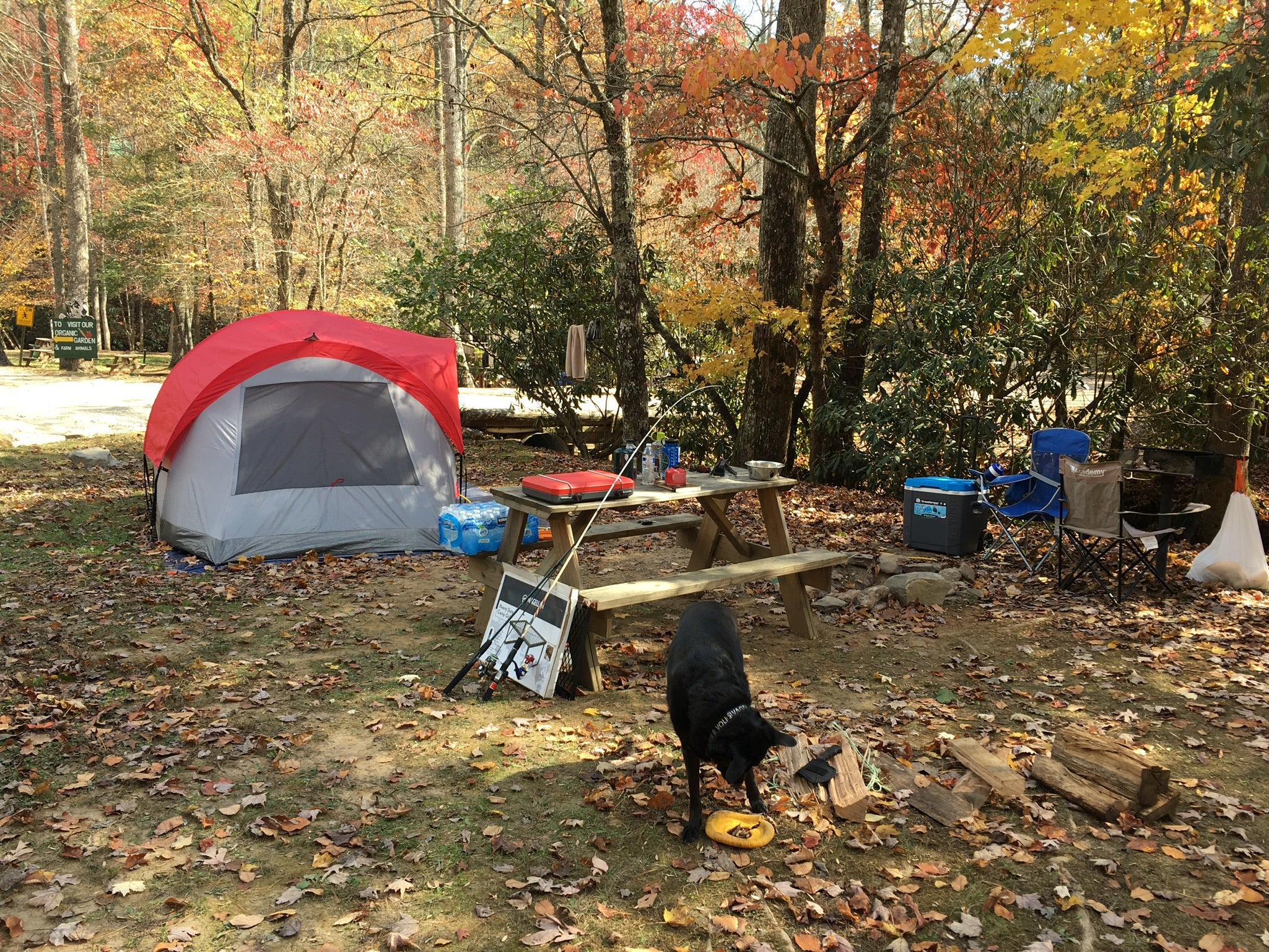 Camper submitted image from Enota  Mountain Retreat  - 1