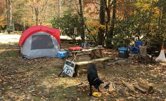 Camping near Misty Mountain Inn & Cottages: Enota  Mountain Retreat , Hiawassee, Georgia