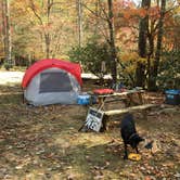 Review photo of Enota Mountain Retreat by Kelly N., June 5, 2017