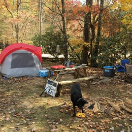 Campground Finder: Enota  Mountain Retreat 