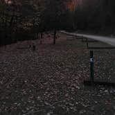 Review photo of Enota Mountain Retreat by Kelly N., June 5, 2017