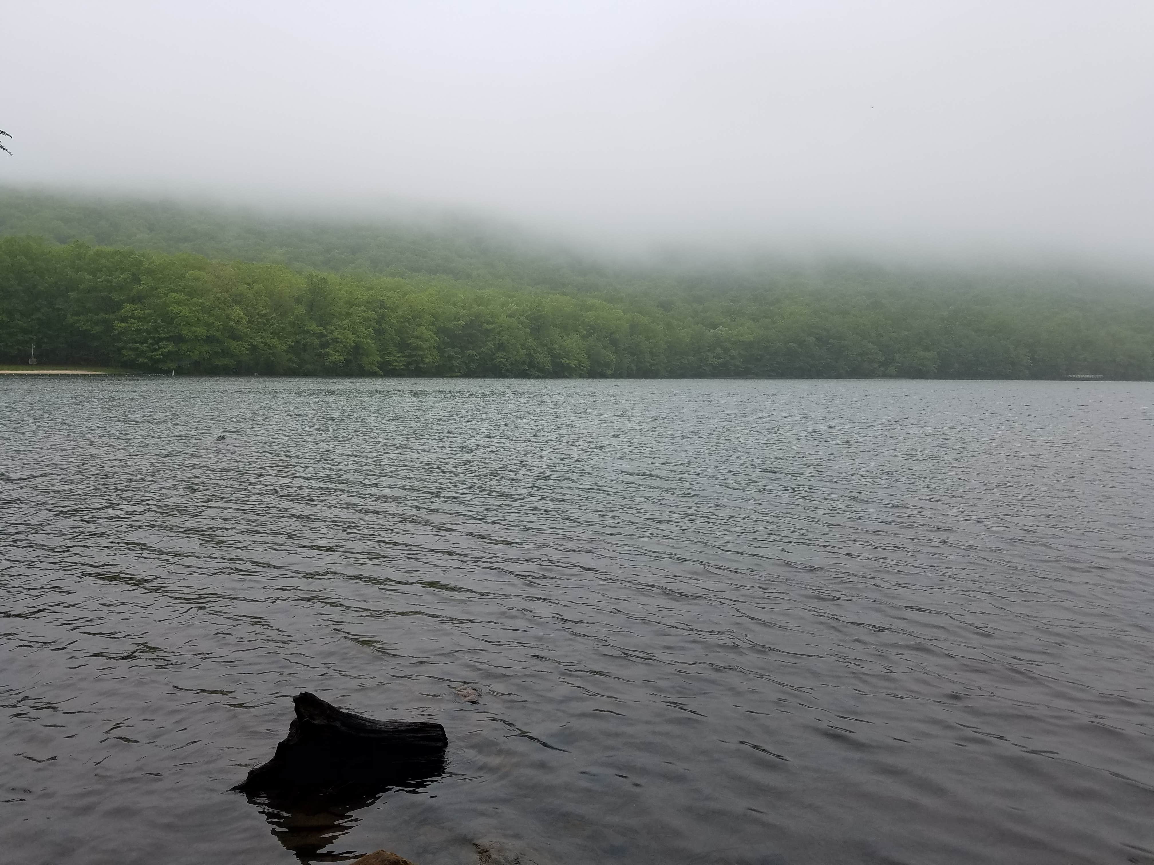 Camper-submitted photo at Locust Lake State Park Campground near Tamaqua, PA