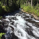 Review photo of White River Campground — Mount Rainier National Park by iloveitontop R., June 5, 2017