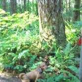 Review photo of Dairy Creek West - L L Stub Stewart State Park — L.L. Stub Stewart State Park by Cyndi A., January 18, 2015