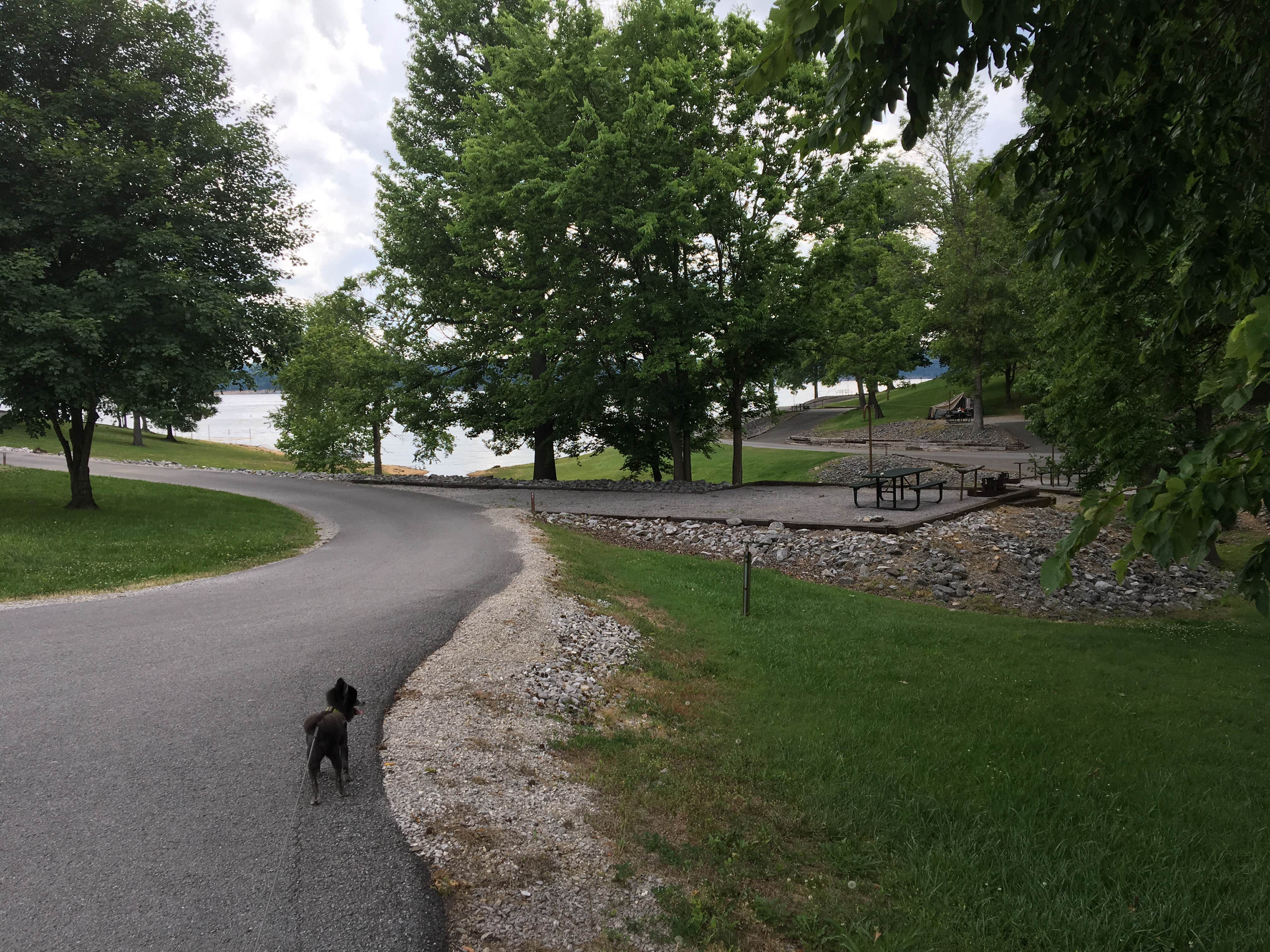 Camper submitted image from Baileys Point - 4