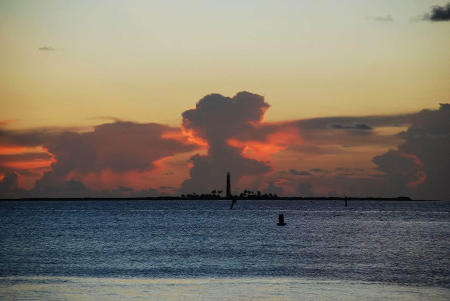 Camper submitted image from Garden Key Campground — Dry Tortugas National Park - 2