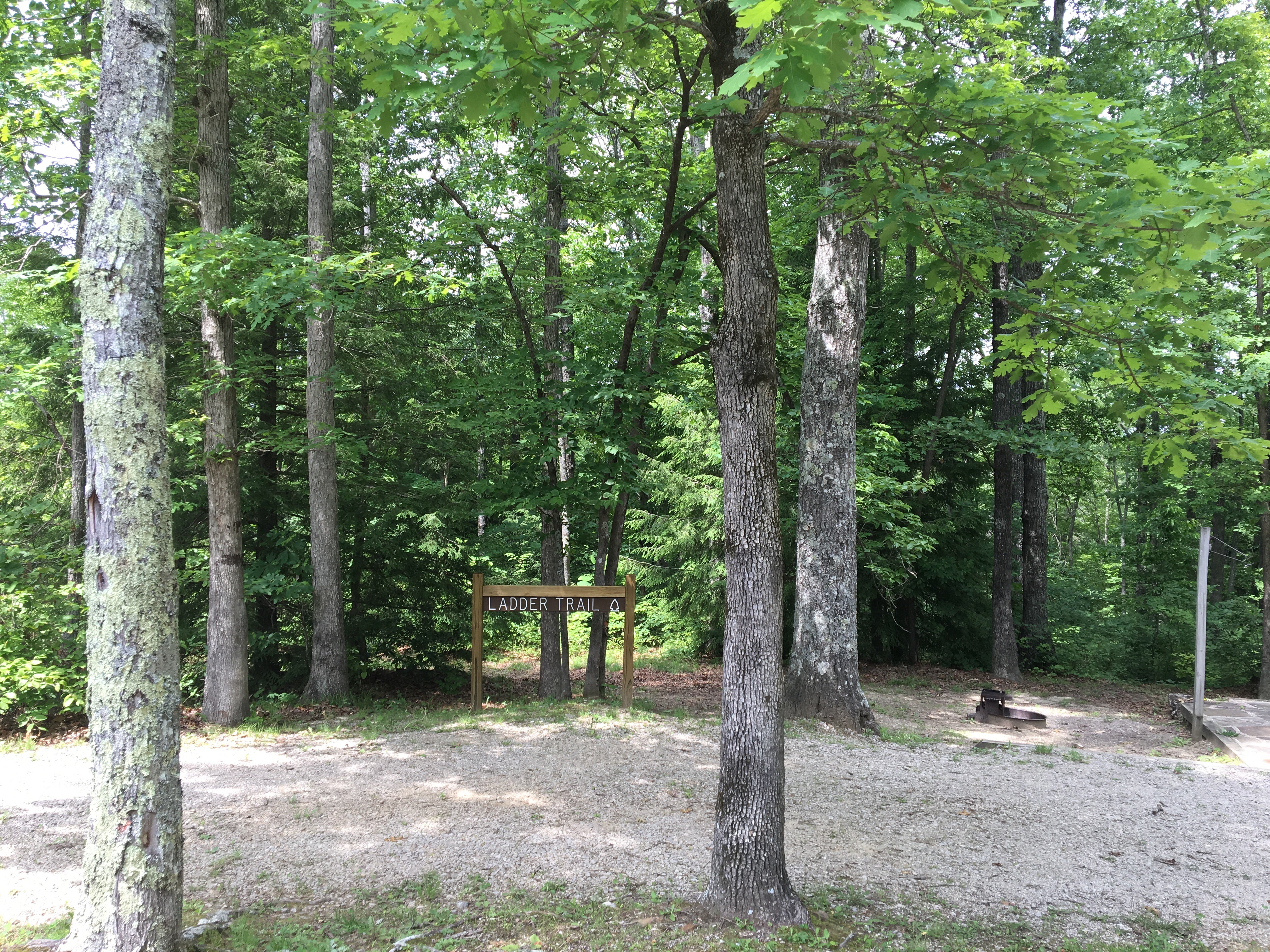 Camper submitted image from Pickett CCC Memorial State Park Campground - 2