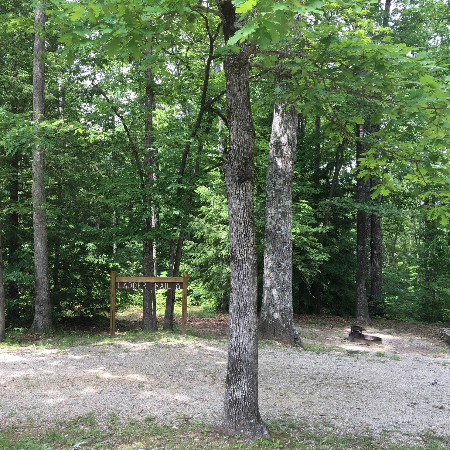 Pickett CCC Memorial State Park Camping The Dyrt