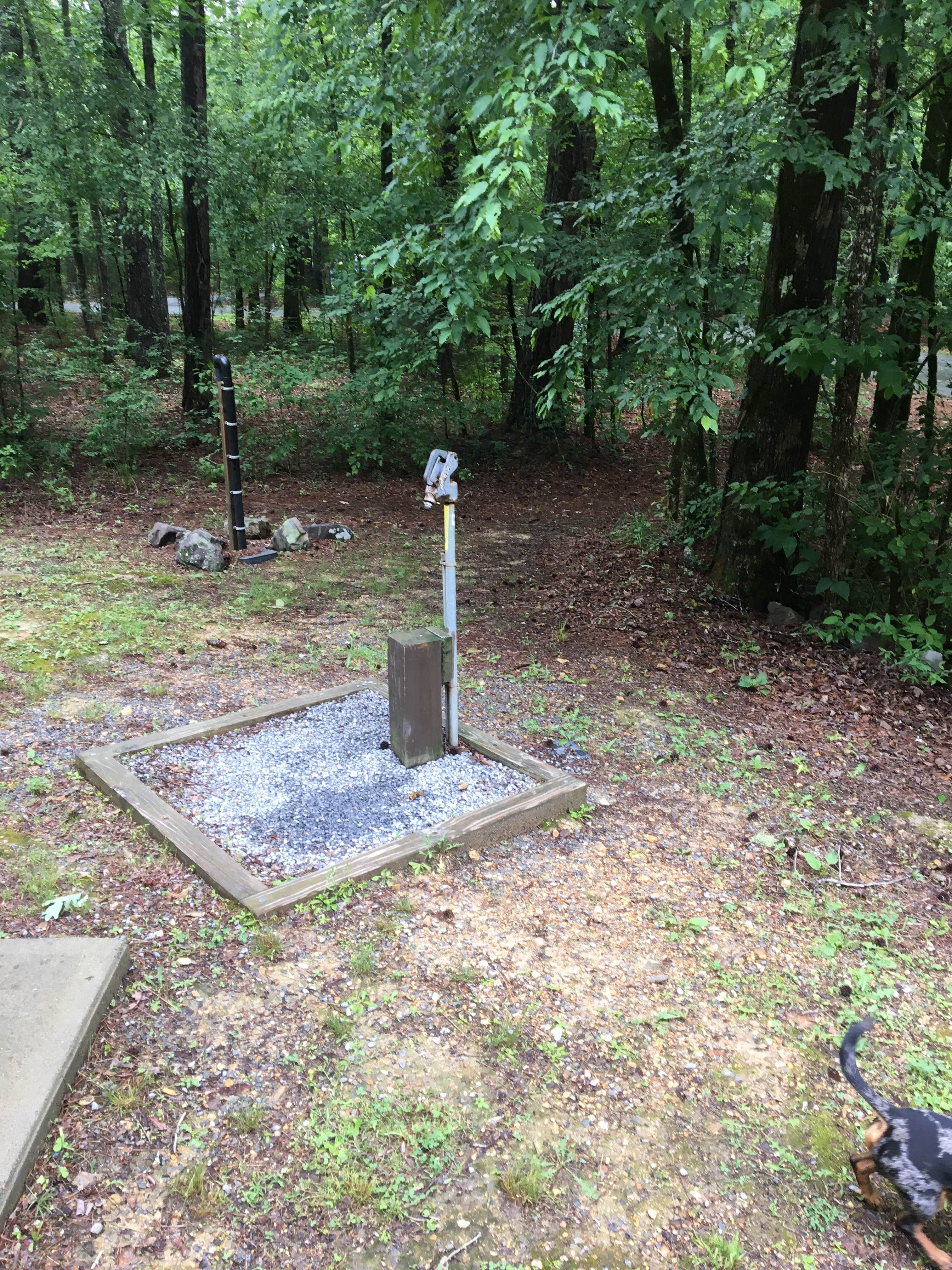 Camper-submitted photo at Pocket Campground — Chattahoochee Oconee National Forest near Resaca, GA