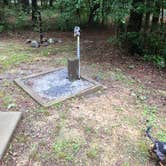 Review photo of Pocket Campground — Chattahoochee Oconee National Forest by Shelly S., June 5, 2017