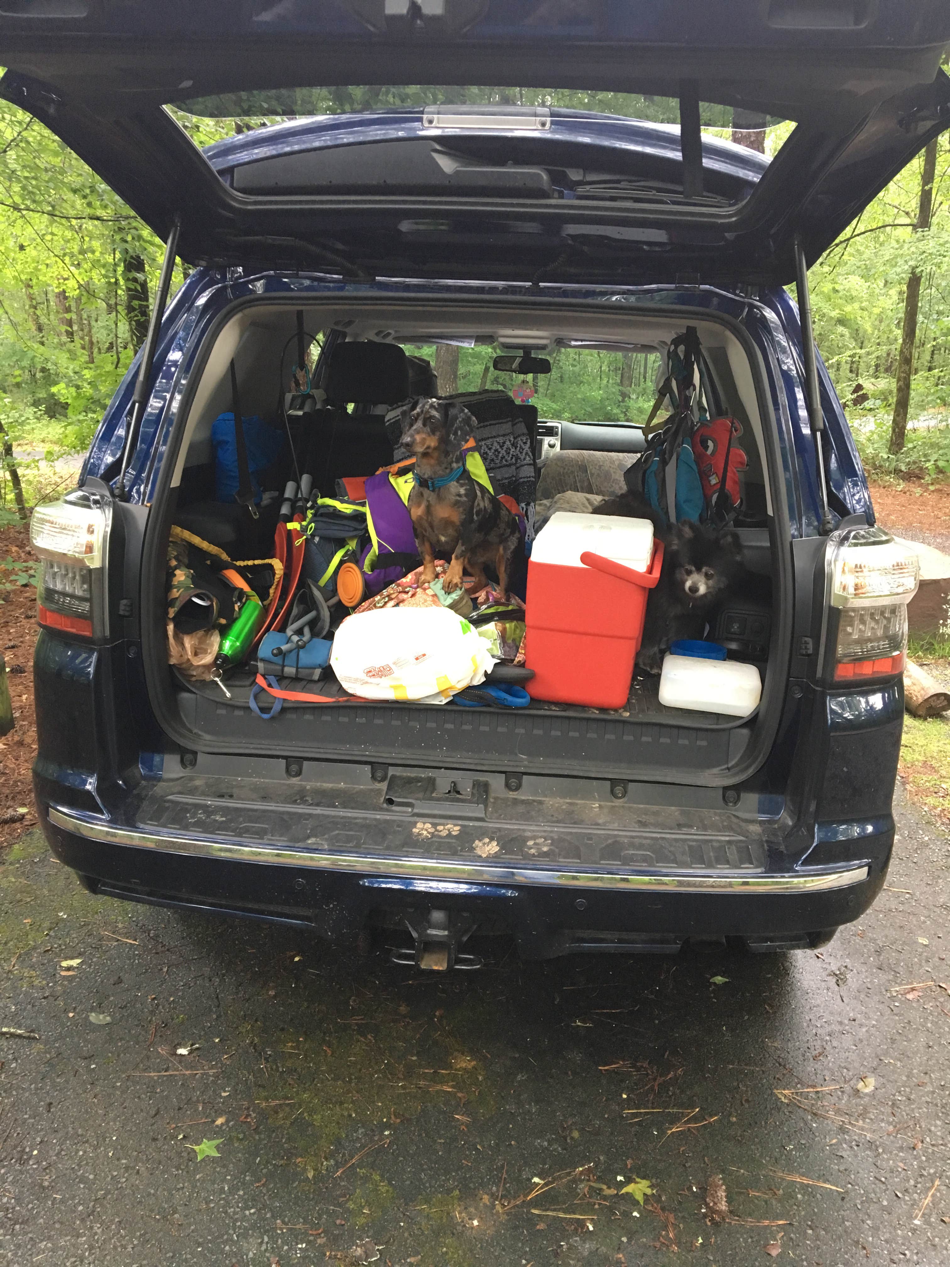 Camper submitted image from Pocket Campground — Chattahoochee Oconee National Forest - 5