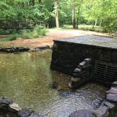 Review photo of Pocket Campground — Chattahoochee Oconee National Forest by Shelly S., June 5, 2017