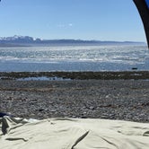 Review photo of Homer Spit Campground by Jenni T., June 5, 2017