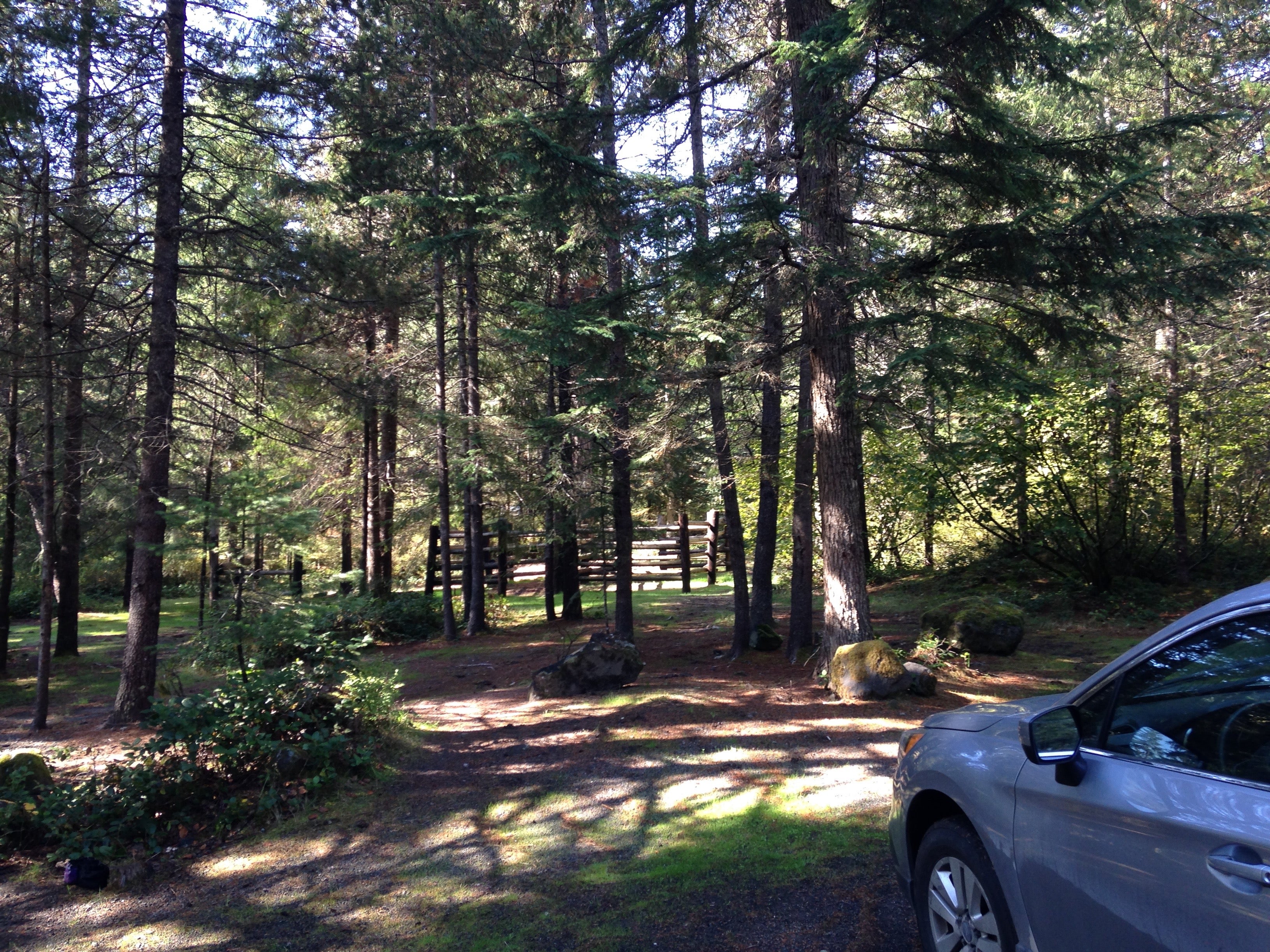 Camper submitted image from Kalama Horse Camp Campground - 2