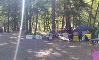 Lauren E.'s photo at Leidl South Campground near Lyle, WA