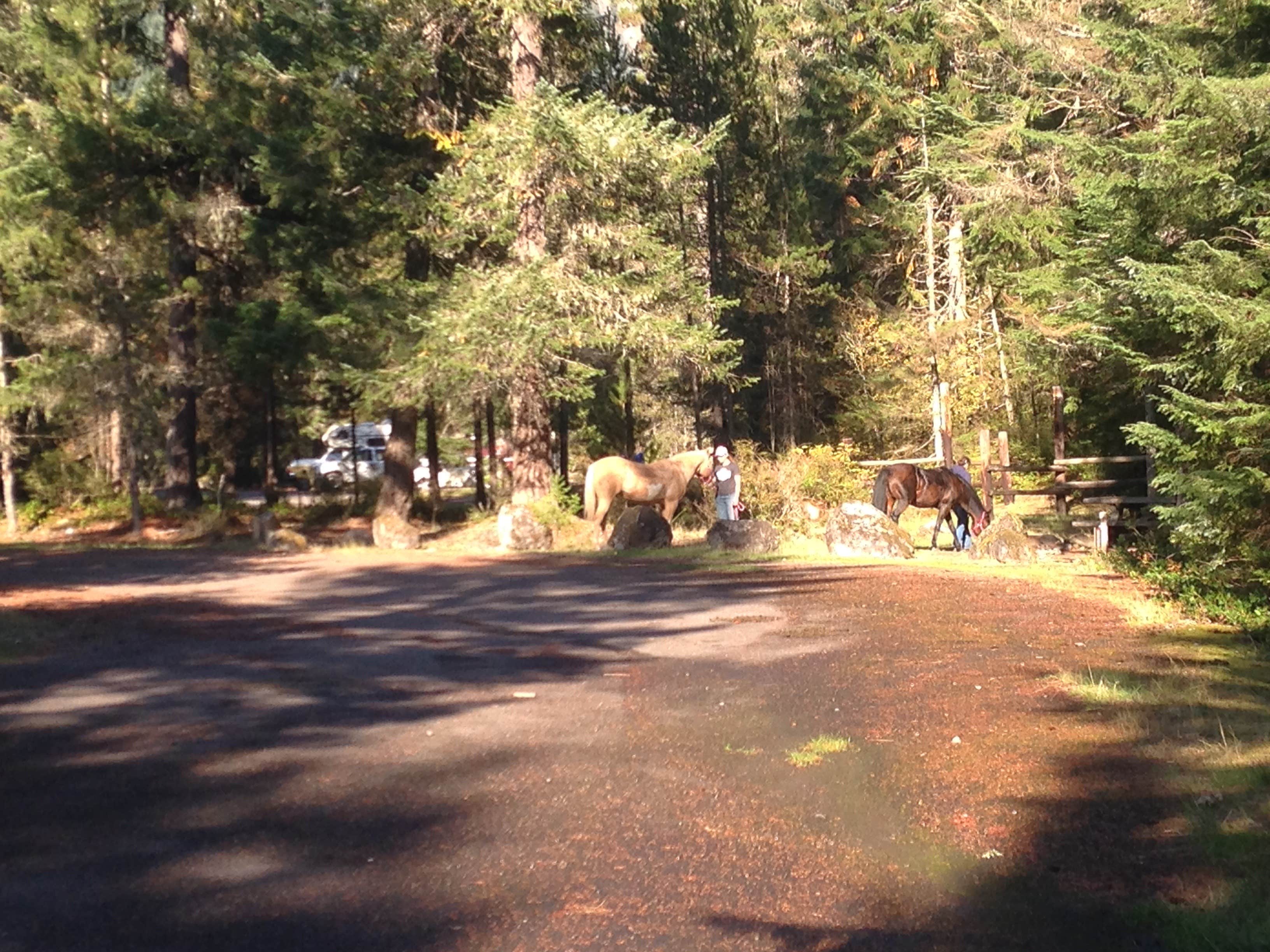 Kalama horse camp shop