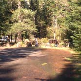 Review photo of Kalama Horse Camp Campground by Bjorn S., June 20, 2016