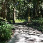 Review photo of Kayak Point County Park by Jerry  R., June 6, 2017
