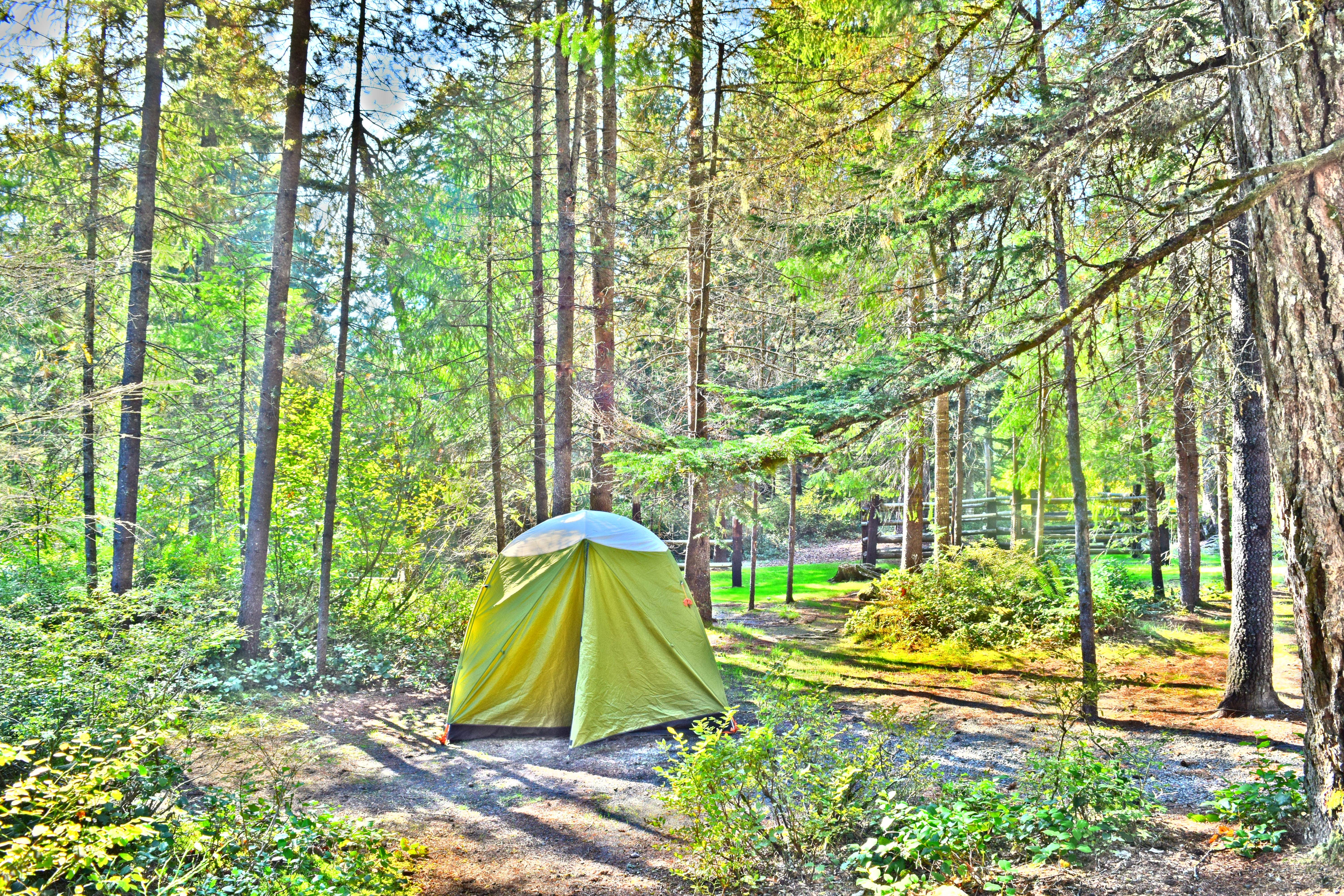 Bjorn S.'s photo at Kalama Horse Camp Campground near Cougar, WA