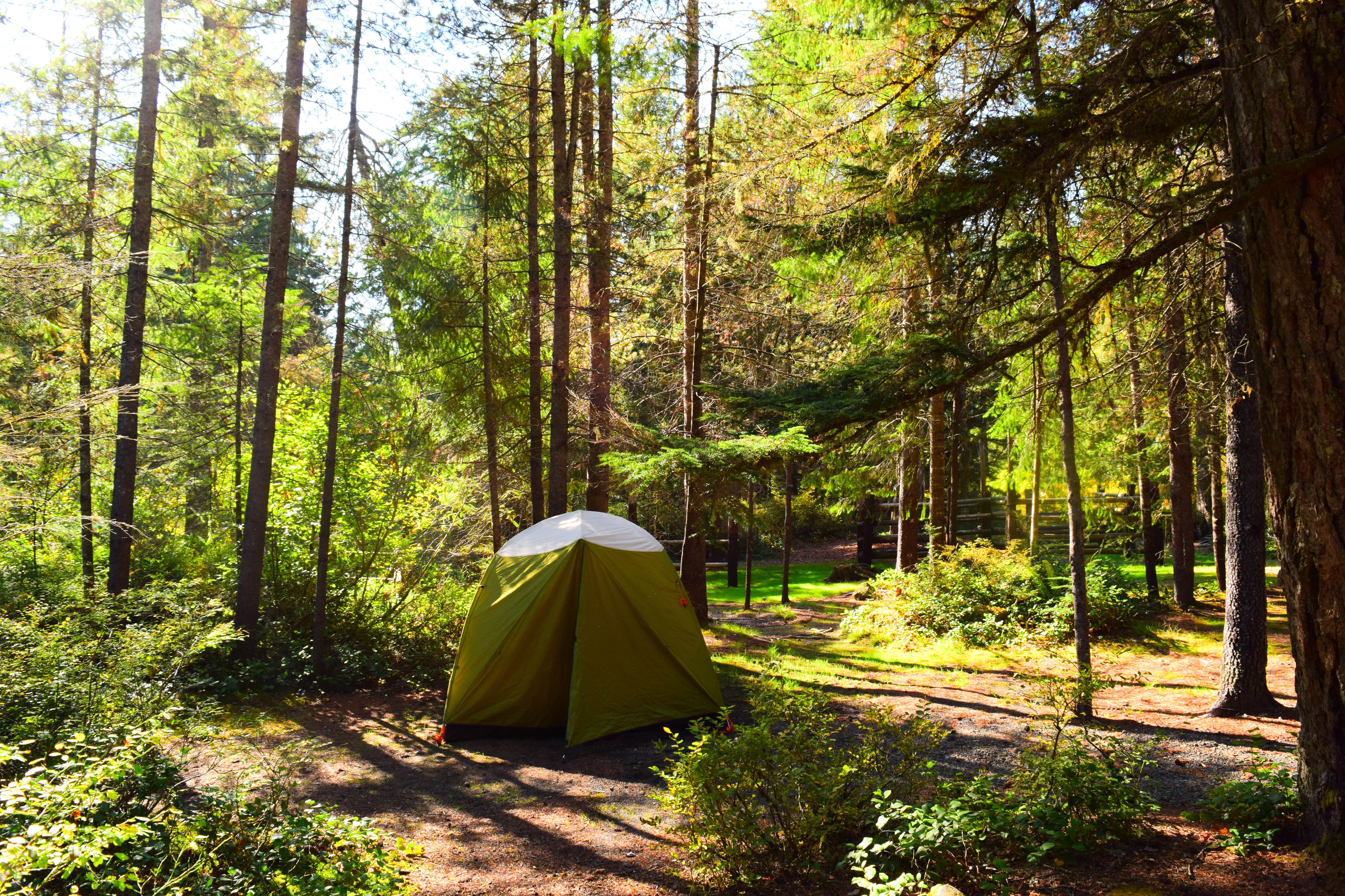 Bjorn S.'s photo at Kalama Horse Camp — Gifford Pinchot National Forest near Ariel, WA