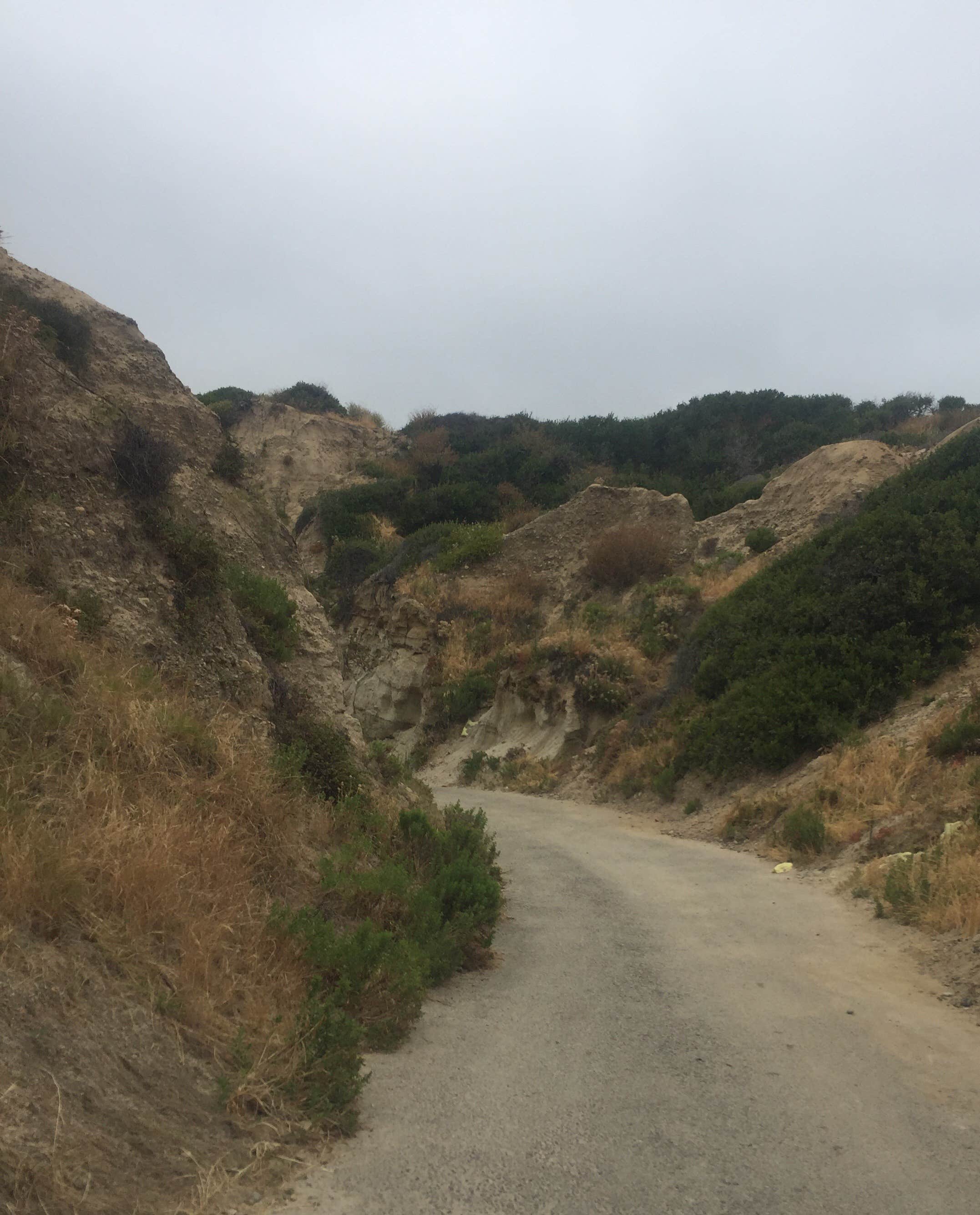 Camper submitted image from San Clemente State Beach Campground - 2