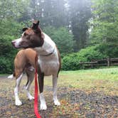 Review photo of Horse Creek Campground — Siuslaw National Forest by Britany R., June 6, 2017
