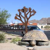 Review photo of Ryan Campground — Joshua Tree National Park by Alex R., June 6, 2017