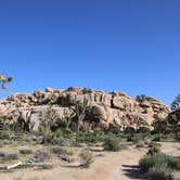 Review photo of Ryan Campground — Joshua Tree National Park by Alex R., June 6, 2017