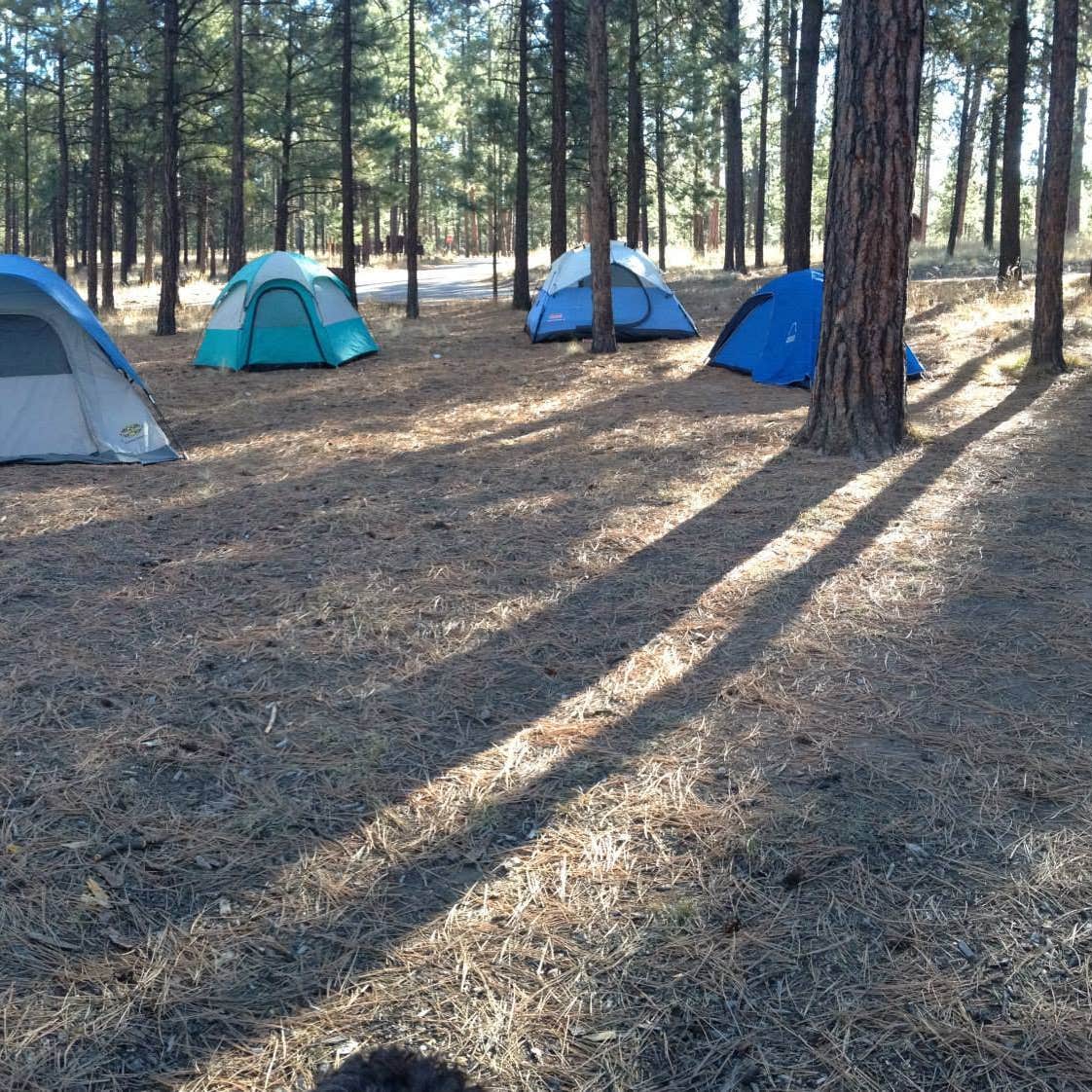 Camping