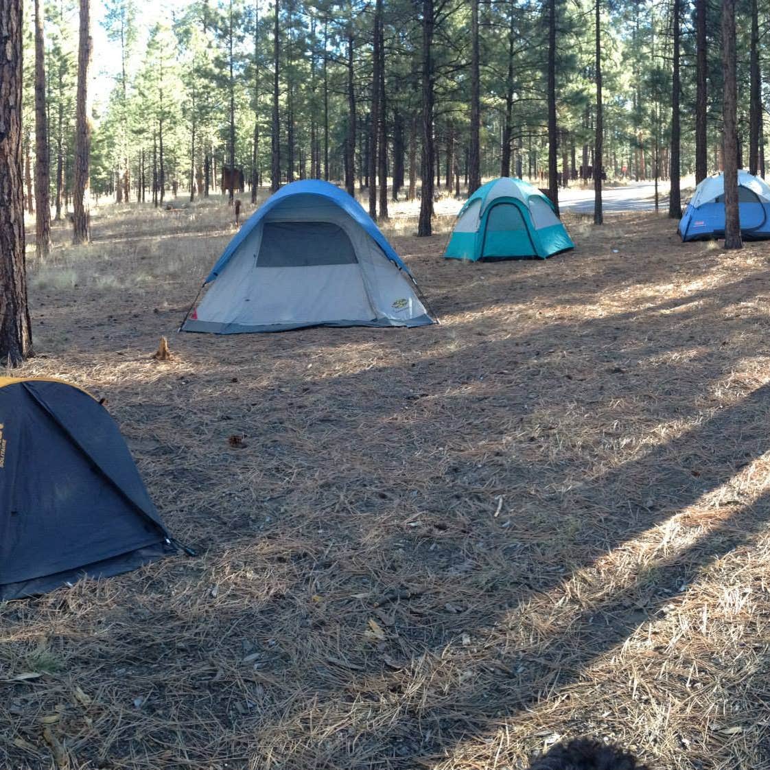 Jemez Falls: An Enchanted Campground Escape in New Mexico