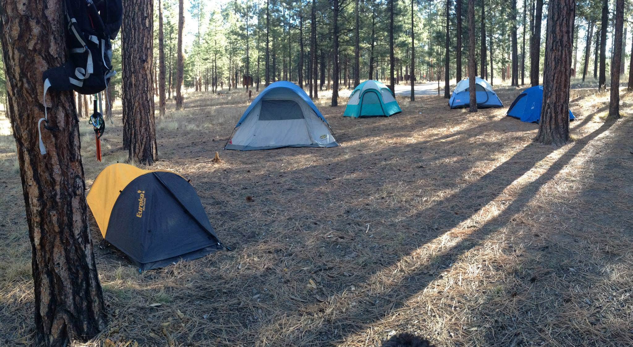 Camper submitted image from Jemez Falls Campground - 3