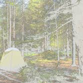 Review photo of Kalama Horse Camp Campground by Bjorn S., June 20, 2016