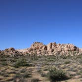 Review photo of Ryan Campground — Joshua Tree National Park by Alex R., June 6, 2017