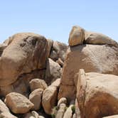 Review photo of Ryan Campground — Joshua Tree National Park by Alex R., June 6, 2017