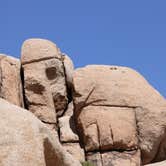 Review photo of Ryan Campground — Joshua Tree National Park by Alex R., June 6, 2017