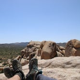 Review photo of Ryan Campground — Joshua Tree National Park by Alex R., June 6, 2017
