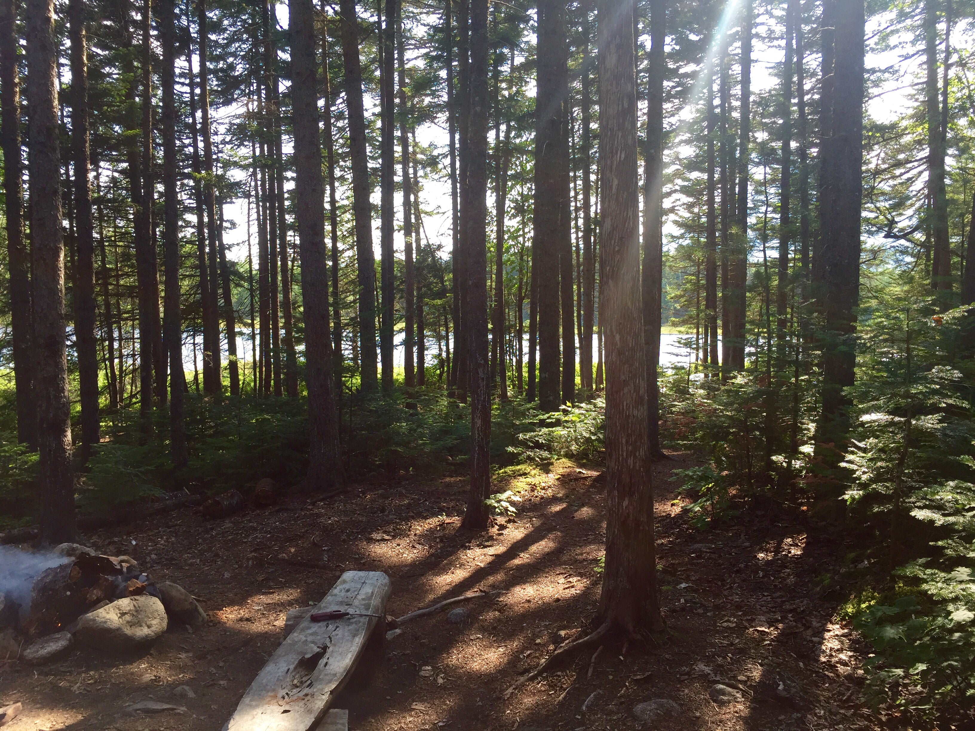 Camper submitted image from Katahdin Stream Campground — Baxter State Park - 2
