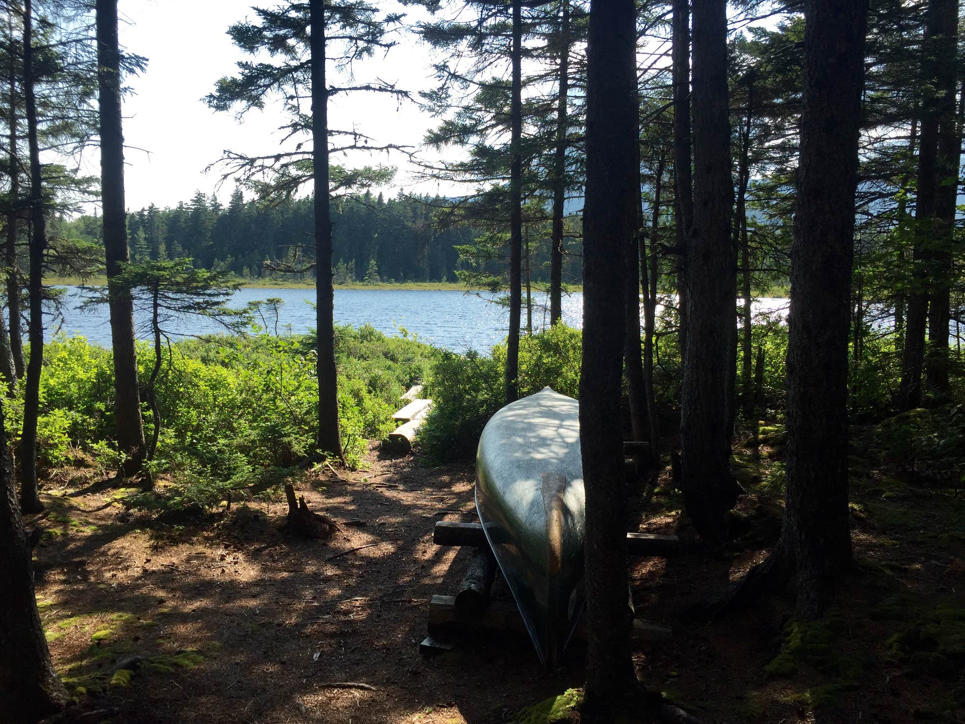 Katahdin Stream Dispersed Campsite Camping | The Dyrt