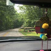 Review photo of Standing Stone State Park Campground by Shelly S., June 7, 2017