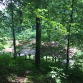 Review photo of Standing Stone State Park Campground by Shelly S., June 7, 2017