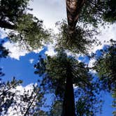 Review photo of Redondo Campground by Tyler G., June 7, 2017