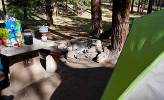 Tyler G.'s photo at Redondo Campground near Cuba, NM